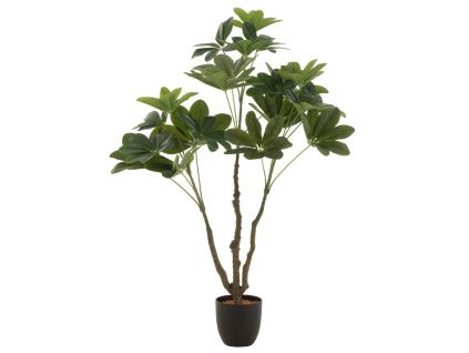 Umělá květina Money Tree 110 cm