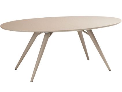 Šedý dubový rozkládací jídelní stůl DAN-FORM Eclipse 200-300 x 110 cm