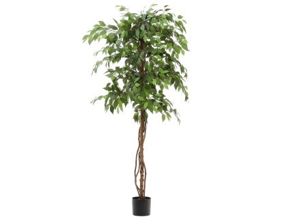 Umělá květina Kave Home Ficus 180 cm