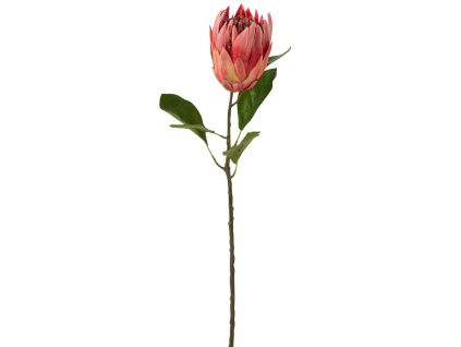 Umělá květina J-line Proteas 67 cm