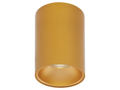 Zlaté kovové bodové světlo Nova Luce Nido