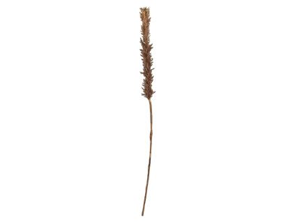 Hnědá umělá tráva Kvist 115 cm