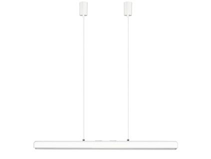 Bílo-stříbrné kovové závěsné LED světlo Hazel Branch 100 cm