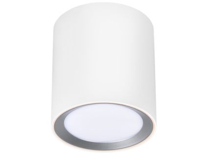 Bílé kovové stropní LED světlo Landon Smart 12,5 cm