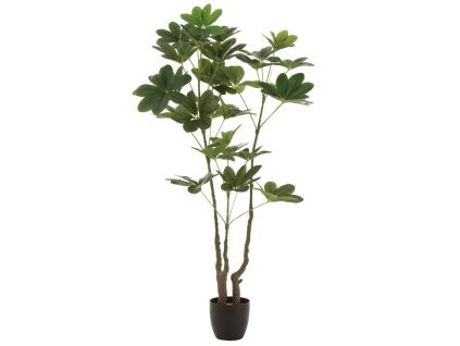 Umělá květina Money Tree 157 cm