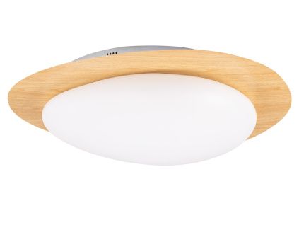 Kovové stropní LED světlo Nimbus 51 x 57 cm