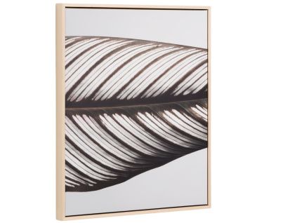 Foto-obraz kave home Foliae  50 x 60 cm