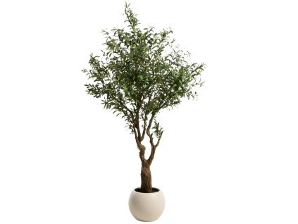 Umělá květina Olive 250 cm