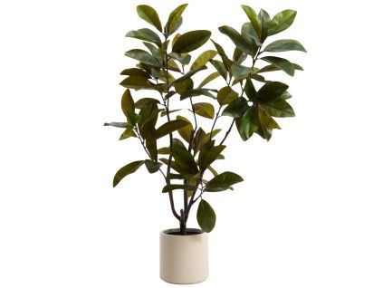 Umělá rostlina Kave home Magnolia 160cm