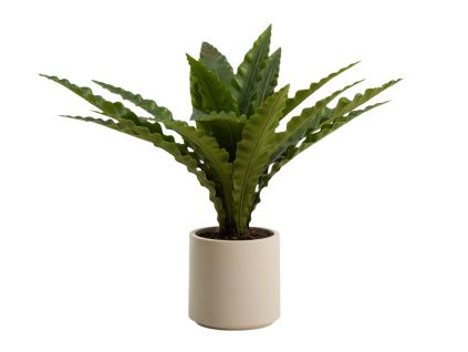Umělá květina kave home Neottopteris 70 cm