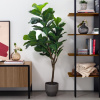 Umělá květina Kave Home Ficus 150 cm -fv-interier-25