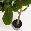 Umělá květina Kave Home Ficus 150 cm -fv-interier-25