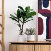 Umělá květina Kave Home Lyrata 60 cm -fv-interier-25