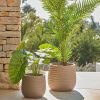 Umělá květina Kave Home Fern palm 150 cm -fv-interier-25