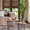 Umělá květina Kave Home Fern palm 150 cm -fv-interier-25