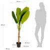 Umělá květina Kave Home Banana 160 cm