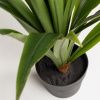Umělá květina Kave Home Yucca 80 cm -fv-interier-25