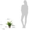 Umělá květina Kave Home Filicopsida 35 cm