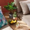 Umělá květina Kave Home Anthurium 50 cm -fv-interier-25
