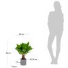 Umělá květina Kave Home Anthurium 50 cm