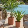 Umělá květina Kave Home Bamboo Palmera 170 cm -fv-interier-25