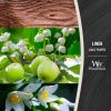 Střední vonná svíčka Woodwick, Linen -fv-interier-25