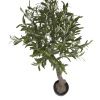 Umělá květina Kave Home Olive 140 cm -fv-interier-25