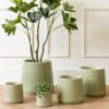 Umělá květina Money Tree 110 cm -fv-interier-25