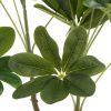 Umělá květina Money Tree 110 cm -fv-interier-25
