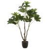 Umělá květina Money Tree 110 cm