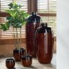 Umělá květina Money Tree 110 cm -fv-interier-25
