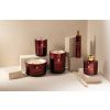 Difuzér J-line Excellent Rose Champagne 150 ml -fv-interier-25