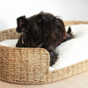 Přírodní pelíšek pro domácí mazlíčky Kave Home Fliicker 80 x 45 cm -fv-interier-25