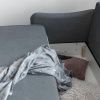 Sametová rozkládací pohovka Tender Eddie 214 cm -fv-interier-25