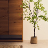 Umělá květina Kave Home Enkianthus 214 cm -fv-interier-25