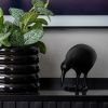 Černá kovová soška Kiwi 15,5 cm -fv-interier-25