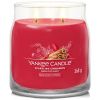 Střední vonná svíčka Yankee Candle Sparkling Cinnamon