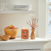 Velká vonná svíčka Yankee Candle Cinnamon Stick Signature -fv-interier-25