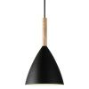 Černé kovové závěsné světlo Pure 20 cm