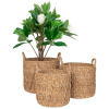 Set tří úložných košů z přírodních vláken Krambi 28/32/36 cm
