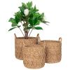 Set tří úložných košů z přírodních vláken Krambi 28/32/36 cm