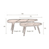 Hnědý set sheeshamových konferenčních stolků DUTCHBONE Sham 110x60 cm