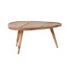 Hnědý set sheeshamových konferenčních stolků DUTCHBONE Sham 110x60 cm