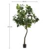 Umělá květina Kave Home Ficus 210 cm