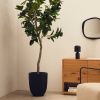 Umělá květina Kave Home Ficus 210 cm -fv-interier-25