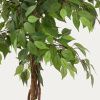 Umělá květina Kave Home Ficus 180 cm -fv-interier-25
