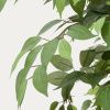 Umělá květina Kave Home Ficus 180 cm -fv-interier-25
