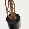 Umělá květina Kave Home Ficus 180 cm -fv-interier-25