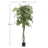 Umělá květina Kave Home Ficus 180 cm