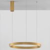 Zlaté kovové závěsné LED světlo Nova Luce Elowen 60 cm